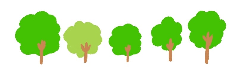 木が並んでいる