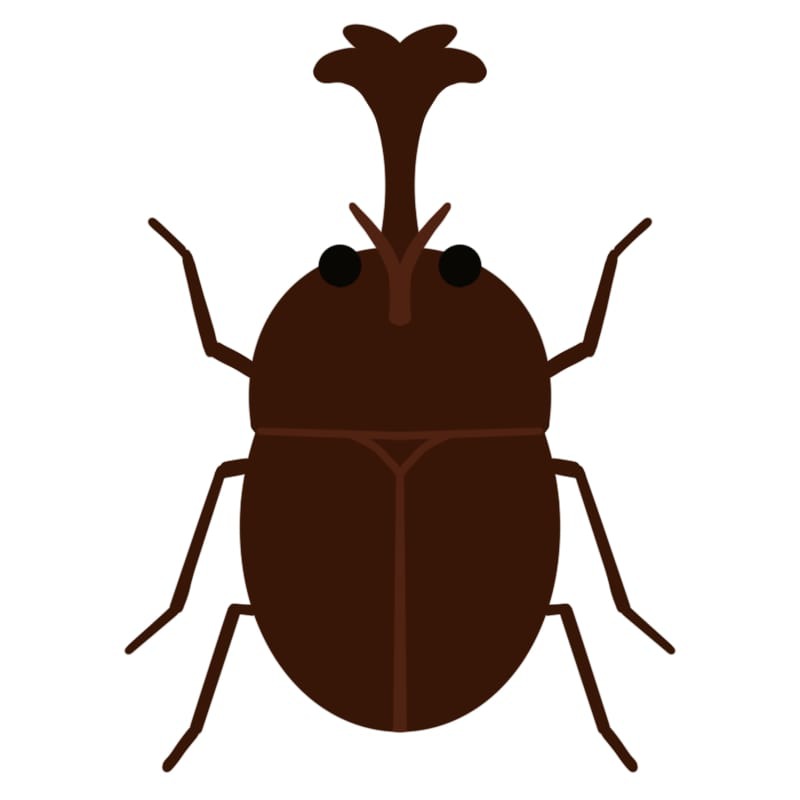 カブトムシ