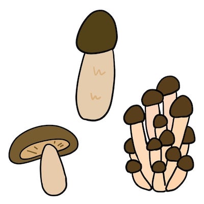 きのこ